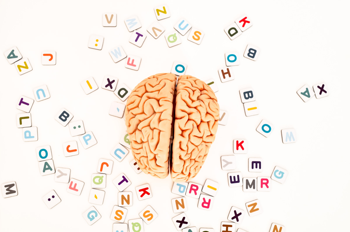 Blog Featured Image - brain and letters